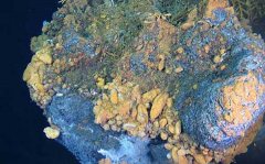 為您詳細介紹什么是硫化物 為您詳細介紹什么是硫化物