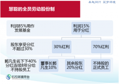 慧聰、正泰、TCL股權(quán)激勵(lì)典型案例分析 慧聰、正泰、TCL股權(quán)激勵(lì)典型案例分析